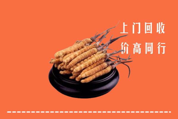 高价求购：湛江麻章回收散虫草